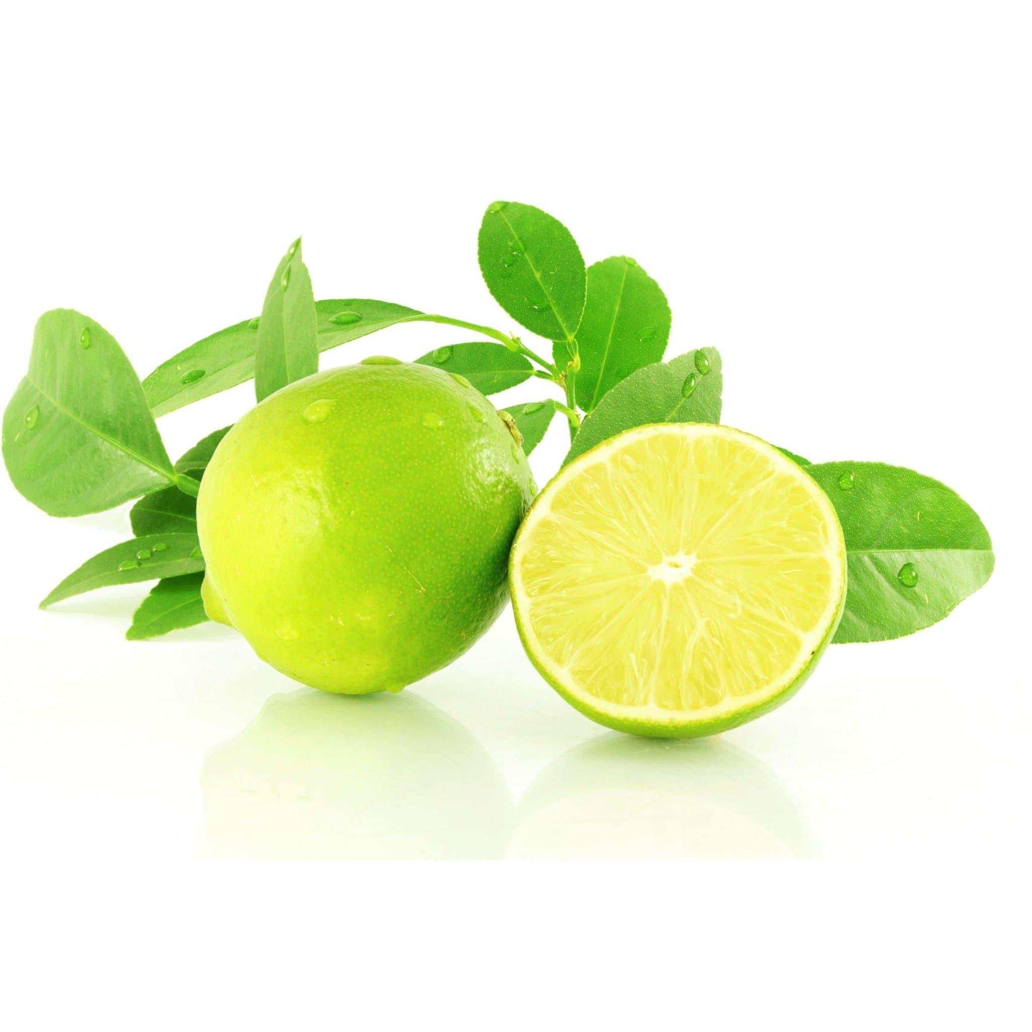 Déodorant Tea Tree et Citron